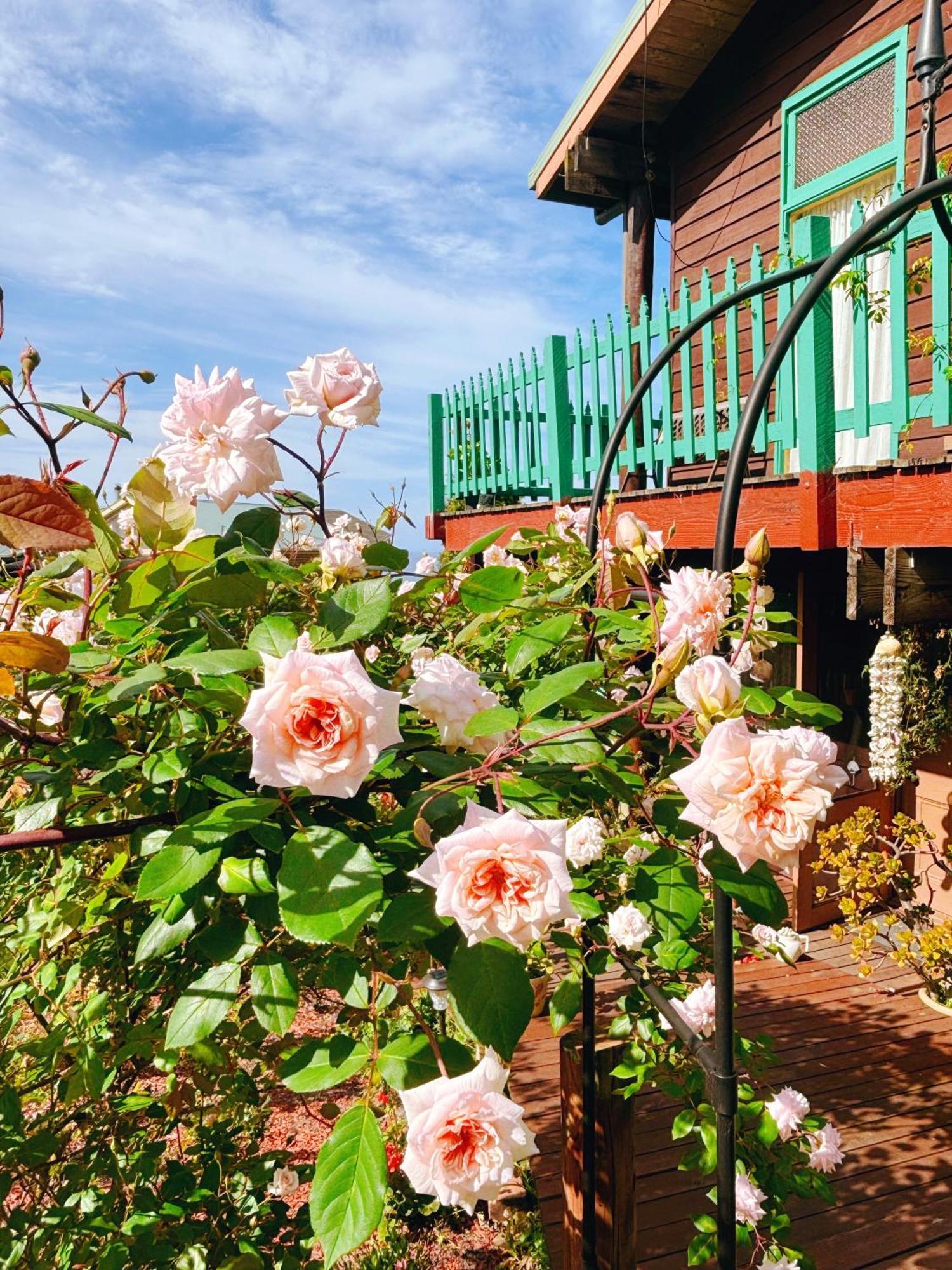 The Goat And Goose Bed & Breakfast Lakes Entrance Dış mekan fotoğraf